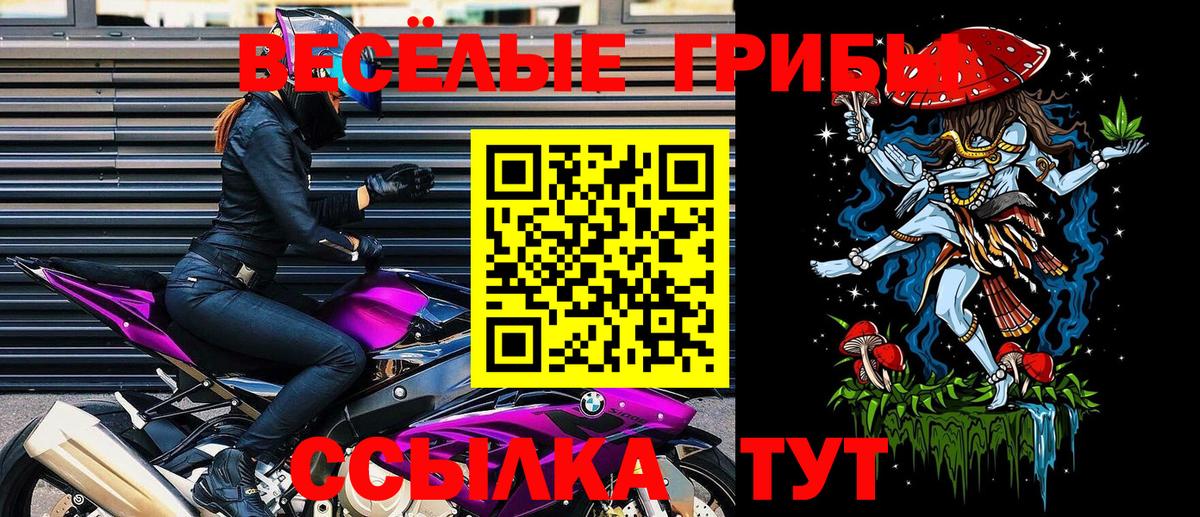 Псилоцибиновые грибы прущие грибы Менделеевск